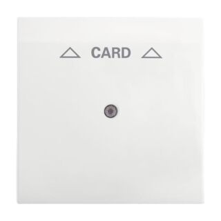 Busch-Jaeger Zentralscheibe Busch-Jaeger - Busch-Jaeger Zentralscheibe