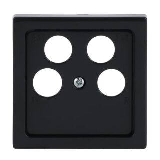 Busch-Jaeger Zentralscheibe Busch-Jaeger - Busch-Jaeger Zentralscheibe