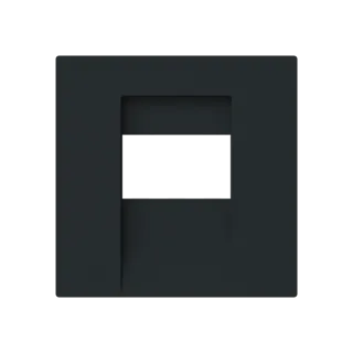 Busch-Jaeger Zentralscheibe Busch-Jaeger - Busch-Jaeger Zentralscheibe