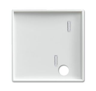 Busch-Jaeger Zentralscheibe Busch-Jaeger - Busch-Jaeger Zentralscheibe