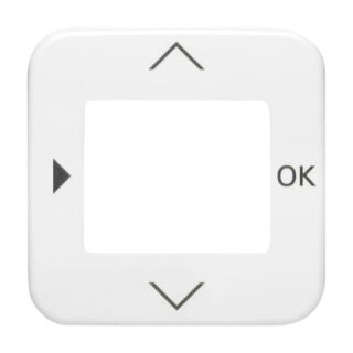 Busch-Jaeger Zentralscheibe Busch-Jaeger - Busch-Jaeger Zentralscheibe