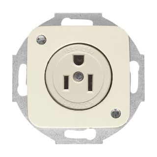 Busch-Jaeger Busch-Nema Steckdosen-Einsatz mit Zentralscheibe Busch-Jaeger - Busch-Jaeger Busch-Nema Steckdosen-Einsatz mit Zentralscheibe