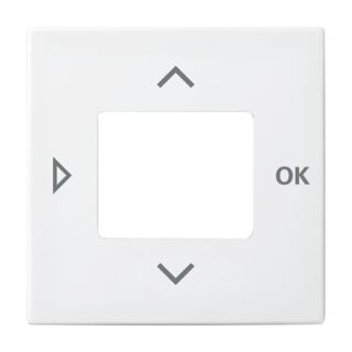 Busch-Jaeger Zentralscheibe Busch-Jaeger - Busch-Jaeger Zentralscheibe