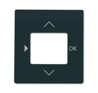 Busch-Jaeger Zentralscheibe Busch-Jaeger - Busch-Jaeger Zentralscheibe