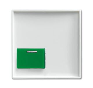 Busch-Jaeger Zentralscheibe Busch-Jaeger - Busch-Jaeger Zentralscheibe