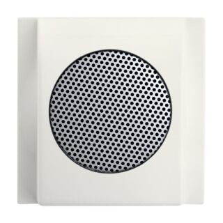 Busch-Jaeger Zentralscheibe Busch-Jaeger - Busch-Jaeger Zentralscheibe