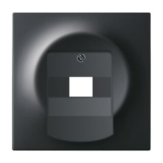 Busch-Jaeger Zentralscheibe Busch-Jaeger - Busch-Jaeger Zentralscheibe