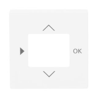 Busch-Jaeger Zentralscheibe Busch-Jaeger - Busch-Jaeger Zentralscheibe