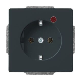 Busch-Jaeger Busch-Protector® SCHUKO® Steckdosen-Einsatz mit Überspannungsschutz Busch-Jaeger - Busch-Jaeger Busch-Protector® SCHUKO® Steckdosen-Einsatz mit Überspannungsschutz