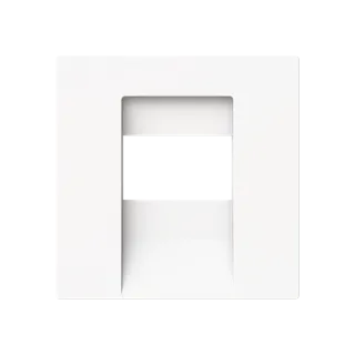 Busch-Jaeger Zentralscheibe Busch-Jaeger - Busch-Jaeger Zentralscheibe