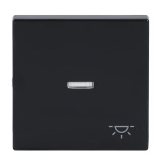 Busch-Jaeger Wippe mit Aufdruck mit kleiner transparenter Kalotte Busch-Jaeger - Busch-Jaeger Wippe mit Aufdruck mit kleiner transparenter Kalotte