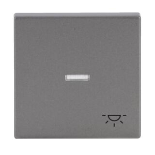 Busch-Jaeger Wippe mit Aufdruck mit kleiner transparenter Kalotte Busch-Jaeger - Busch-Jaeger Wippe mit Aufdruck mit kleiner transparenter Kalotte