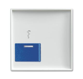 Busch-Jaeger Zentralscheibe Busch-Jaeger - Busch-Jaeger Zentralscheibe