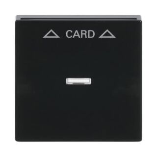 Busch-Jaeger Zentralscheibe Busch-Jaeger - Busch-Jaeger Zentralscheibe