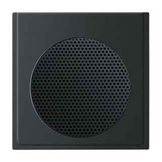 Busch-Jaeger Zentralscheibe Busch-Jaeger - Busch-Jaeger Zentralscheibe