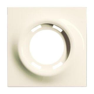 Busch-Jaeger Zentralscheibe Busch-Jaeger - Busch-Jaeger Zentralscheibe