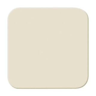 Busch-Jaeger Wippe Abdeckung für UP-Ausschalter Busch-Jaeger - Busch-Jaeger Wippe Abdeckung für UP-Ausschalter