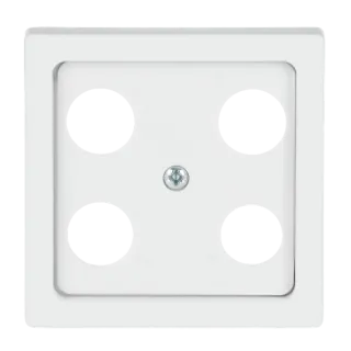 Busch-Jaeger Zentralscheibe Busch-Jaeger - Busch-Jaeger Zentralscheibe