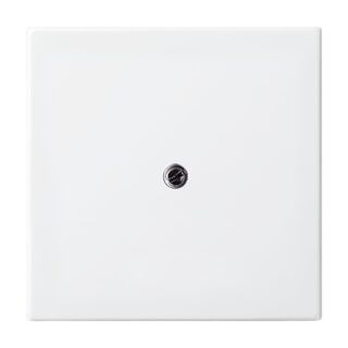 Busch-Jaeger Zentralscheibe Busch-Jaeger - Busch-Jaeger Zentralscheibe