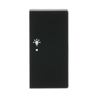 Busch-Jaeger KNX Wippe 2-fach rechts, mit Symbol "Licht" Busch-Jaeger - Busch-Jaeger KNX Wippe 2-fach rechts, mit Symbol "Licht"