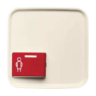 Busch-Jaeger Zentralscheibe Busch-Jaeger - Busch-Jaeger Zentralscheibe