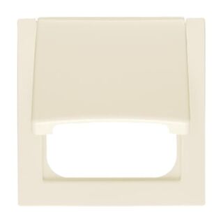 Busch-Jaeger Zentralscheibe Busch-Jaeger - Busch-Jaeger Zentralscheibe