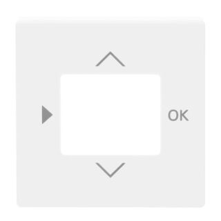 Busch-Jaeger Zentralscheibe Busch-Jaeger - Busch-Jaeger Zentralscheibe