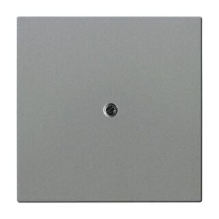 Busch-Jaeger Zentralscheibe Busch-Jaeger - Busch-Jaeger Zentralscheibe