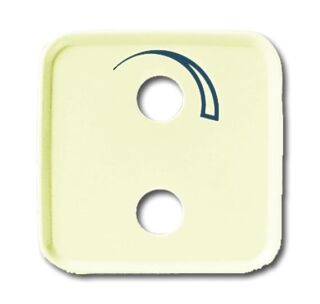 Busch-Jaeger Zentralscheibe Busch-Jaeger - Busch-Jaeger Zentralscheibe