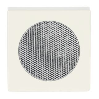 Busch-Jaeger Zentralscheibe Busch-Jaeger - Busch-Jaeger Zentralscheibe