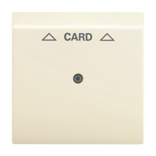 Busch-Jaeger Zentralscheibe Busch-Jaeger - Busch-Jaeger Zentralscheibe