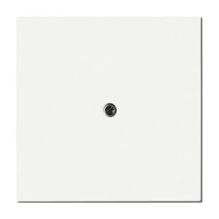 Busch-Jaeger Zentralscheibe Busch-Jaeger - Busch-Jaeger Zentralscheibe