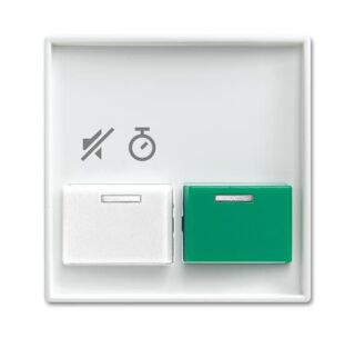 Busch-Jaeger Zentralscheibe Busch-Jaeger - Busch-Jaeger Zentralscheibe