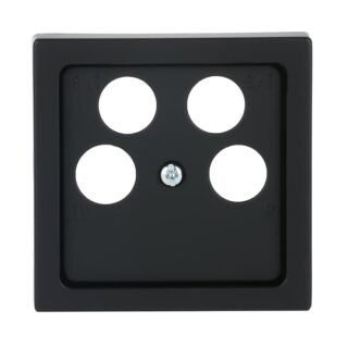 Busch-Jaeger Zentralscheibe Busch-Jaeger - Busch-Jaeger Zentralscheibe