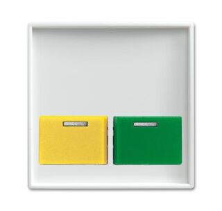 Busch-Jaeger Zentralscheibe Busch-Jaeger - Busch-Jaeger Zentralscheibe