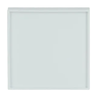 Busch-Jaeger Zentralscheibe Busch-Jaeger - Busch-Jaeger Zentralscheibe