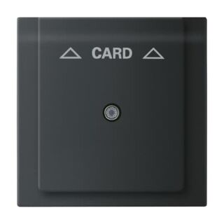 Busch-Jaeger Zentralscheibe Busch-Jaeger - Busch-Jaeger Zentralscheibe