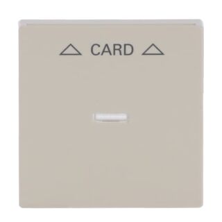 Busch-Jaeger Zentralscheibe Busch-Jaeger - Busch-Jaeger Zentralscheibe