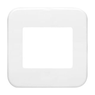 Busch-Jaeger Zentralscheibe Busch-Jaeger - Busch-Jaeger Zentralscheibe