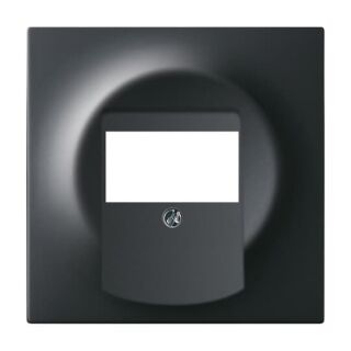 Busch-Jaeger Zentralscheibe Busch-Jaeger - Busch-Jaeger Zentralscheibe