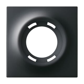 Busch-Jaeger Zentralscheibe Busch-Jaeger - Busch-Jaeger Zentralscheibe