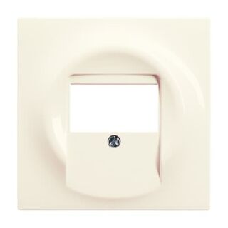 Busch-Jaeger Zentralscheibe Busch-Jaeger - Busch-Jaeger Zentralscheibe