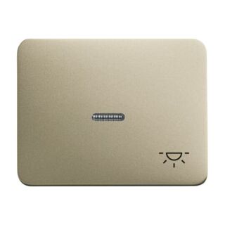 Busch-Jaeger Wippe mit Aufdruck mit kleiner transparenter Kalotte Busch-Jaeger - Busch-Jaeger Wippe mit Aufdruck mit kleiner transparenter Kalotte