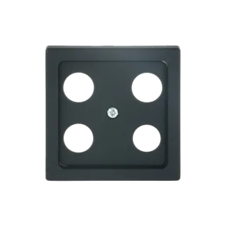 Busch-Jaeger Zentralscheibe Busch-Jaeger - Busch-Jaeger Zentralscheibe