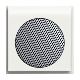 Busch-Jaeger Zentralscheibe Busch-Jaeger - Busch-Jaeger Zentralscheibe