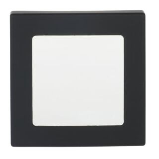 Busch-Jaeger Zentralscheibe Busch-Jaeger - Busch-Jaeger Zentralscheibe