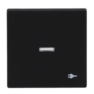 Busch-Jaeger Wippe mit Aufdruck mit kleiner transparenter Kalotte Busch-Jaeger - Busch-Jaeger Wippe mit Aufdruck mit kleiner transparenter Kalotte