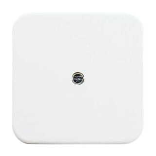 Busch-Jaeger Zentralscheibe Busch-Jaeger - Busch-Jaeger Zentralscheibe