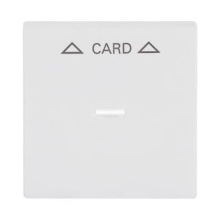 Busch-Jaeger Zentralscheibe Busch-Jaeger - Busch-Jaeger Zentralscheibe