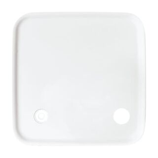 Busch-Jaeger Zentralscheibe Busch-Jaeger - Busch-Jaeger Zentralscheibe